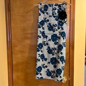 Cynthia Steffe sz2-4   NWOT  beautiful material  zipper back midi